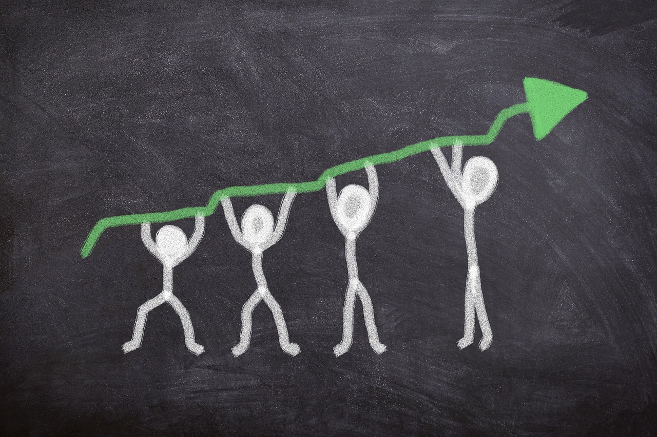 niveau requis formation seo