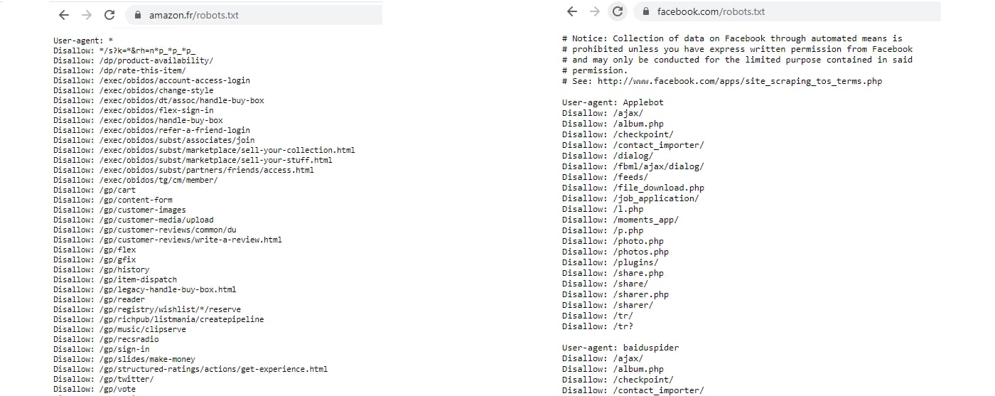 robots txt