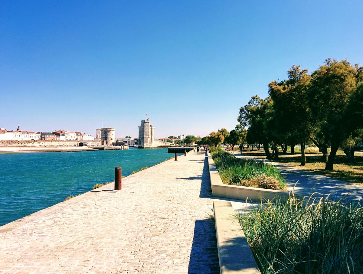 agence seo la rochelle 15 ans expertise